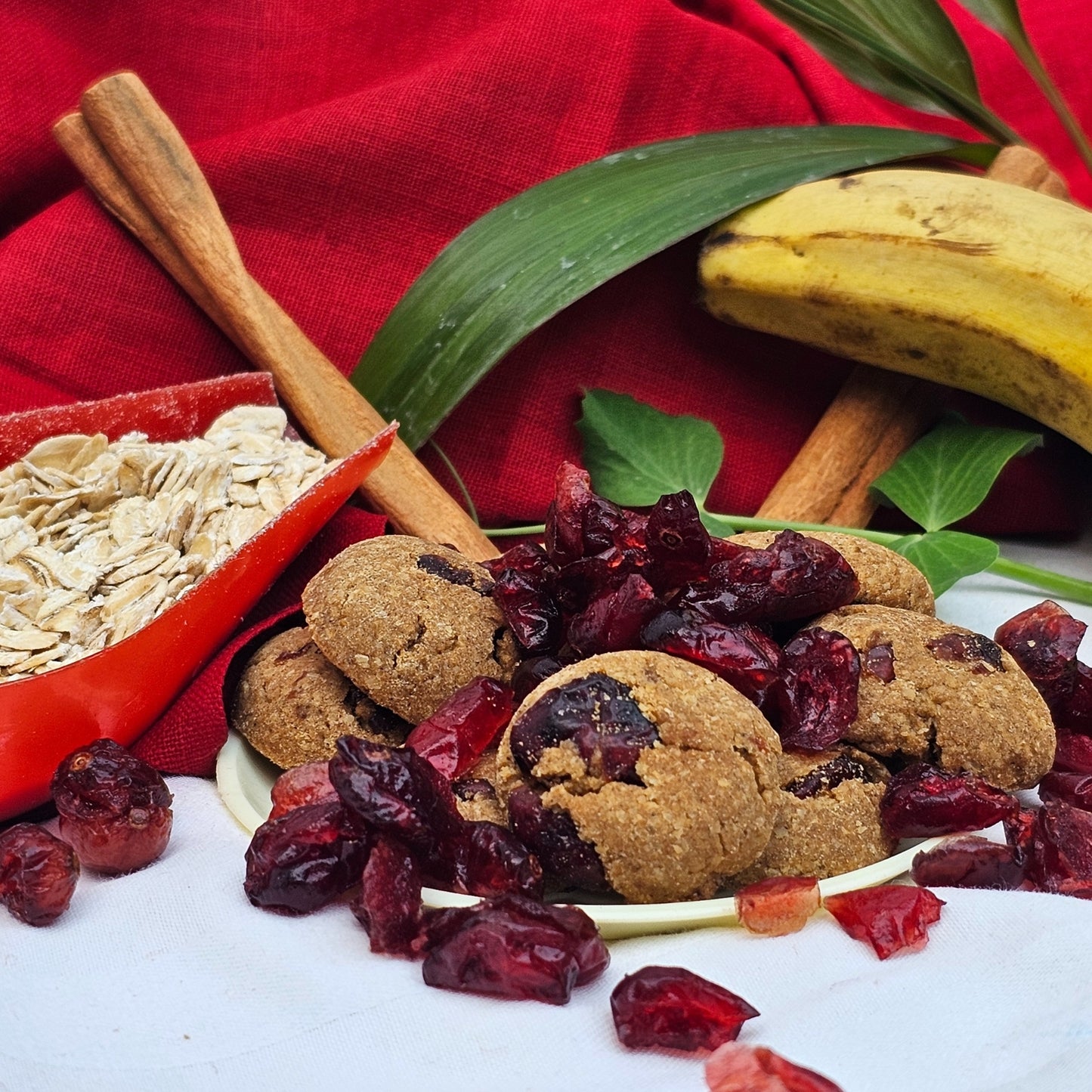 Banana-Berry Cookies | Healthy Oats & Cranberry cookies for Kids & Adults (80g)